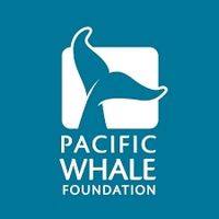 Pacific Whale Foundation coupons